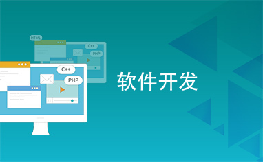软件开发与网络技术服务 驱动数字化转型的双引擎